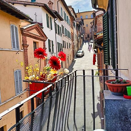 La Campanina-Nel Cuore Di Siena E Della Contrada Zewnętrze zdjęcie